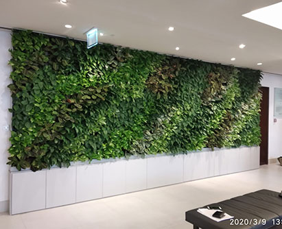 Green Wall In Al Furjan