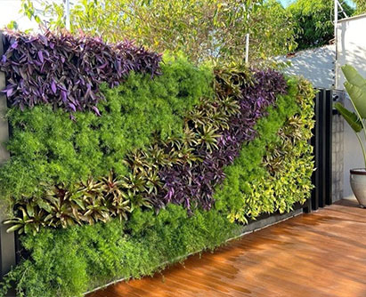 Living Green Wall Abu Dhabi